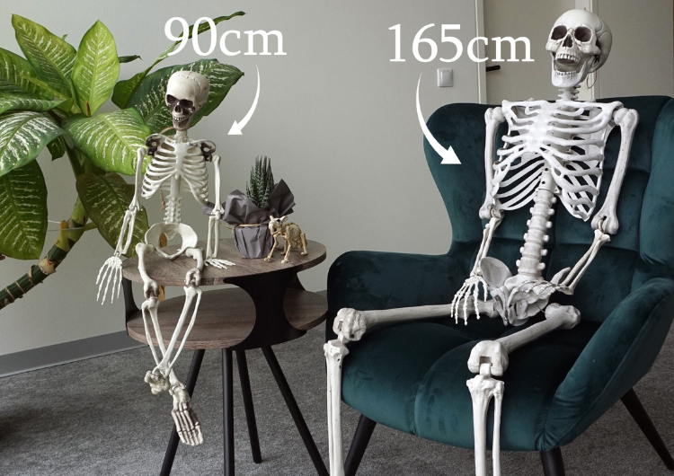 XXL Dekorācija "Skelets" (160cm)