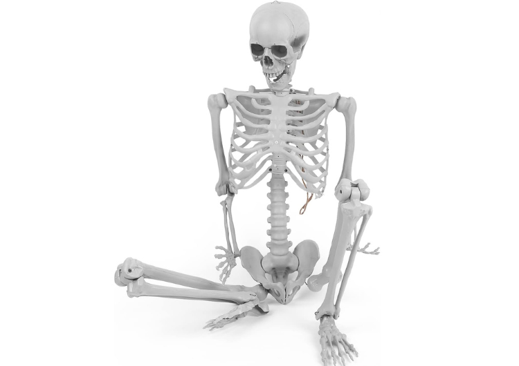 XXL Dekorācija "Skelets" (160cm)