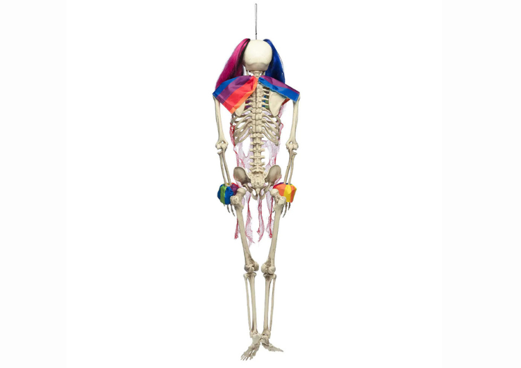 XXL Dekorācija "Circus skeleton" (160cm)